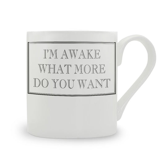 I'm Awake, What More Do You Want? Mug