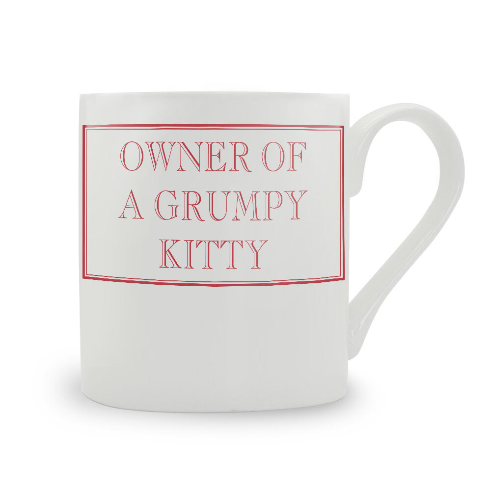 Owner Of A Grumpy Kitty Mug