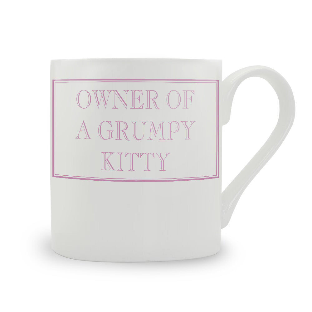 Owner Of A Grumpy Kitty Mug