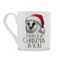 Wild Giggles Owl I Want For Christmas Is You Bone China Mug