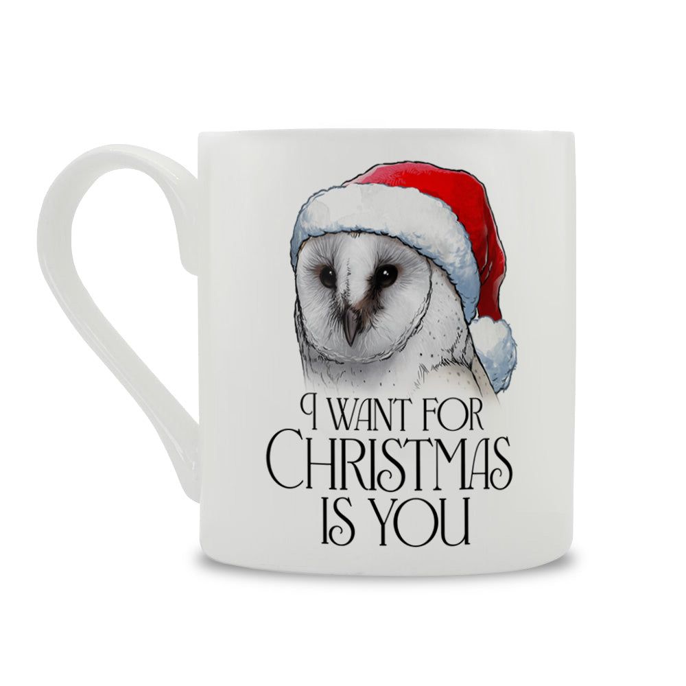 Wild Giggles Owl I Want For Christmas Is You Bone China Mug