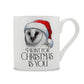 Wild Giggles Owl I Want For Christmas Is You Bone China Mug