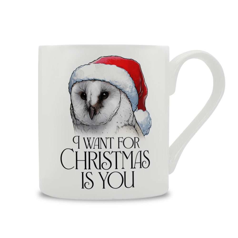 Wild Giggles Owl I Want For Christmas Is You Bone China Mug