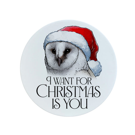 Wild Giggles Owl I Want For Christmas Is You Circular Ceramic Coaster