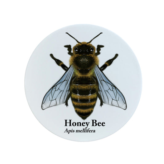 Nature's Delights Honey Bee Ceramic Coaster