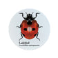 Nature's Delights Ladybird Circular Ceramic Coaster