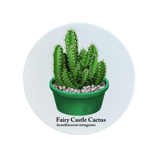 Nature's Delights Fairy Castle Cactus Circular Ceramic Coaster