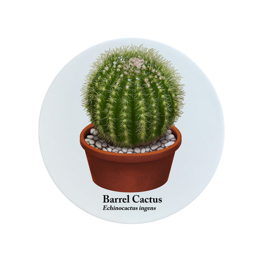 Nature's Delights Barrel Cactus Circular Ceramic Coaster