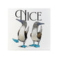 Wild Giggles Nice Boobies Ceramic Coaster