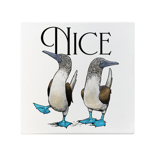 Wild Giggles Nice Boobies Ceramic Coaster