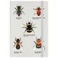Nature's Delights - A Swarm Of Bees Cream A5 Hard Cover Notebook