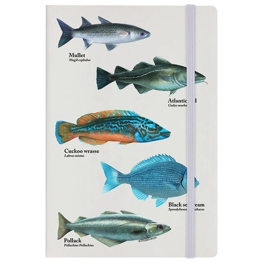 A Shoal Of Fish Cream A5 Hard Cover Notebook