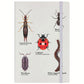Nature's Delights - A Rabble Of Insects Cream A5 Hard Cover Notebook