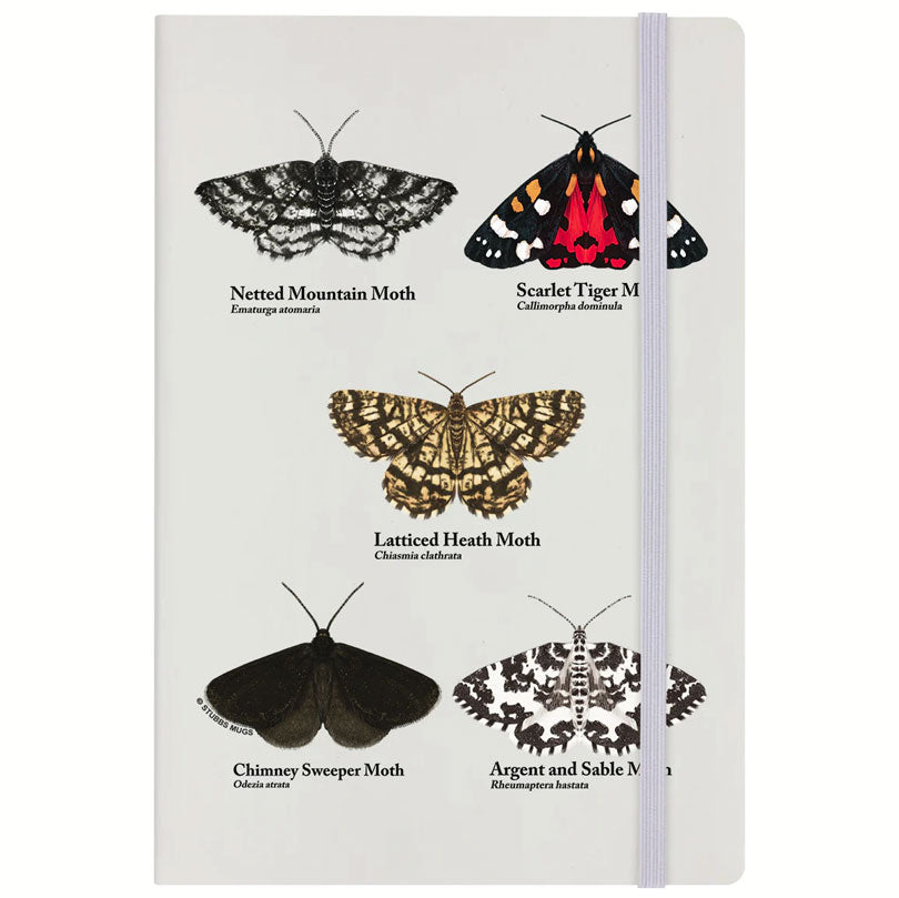 Nature's Delights - An Eclipse Of Moths Cream A5 Hard Cover Notebook