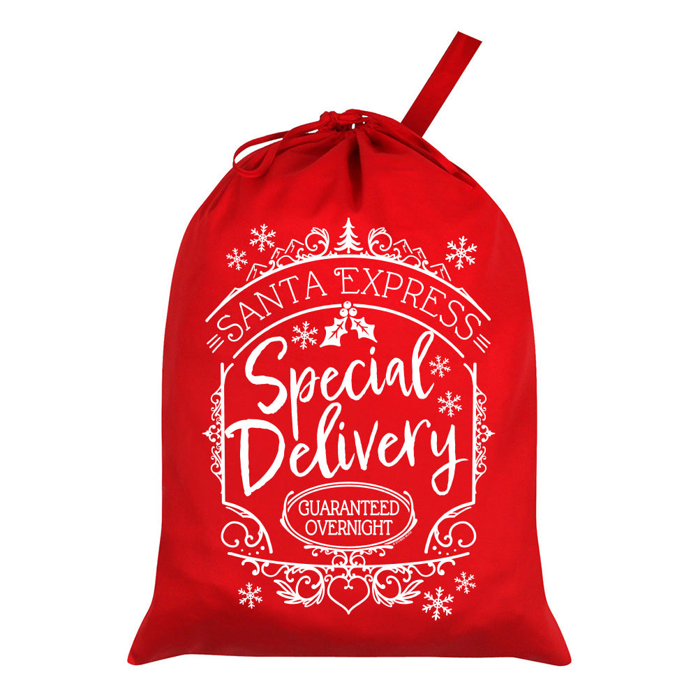 Special Delivery Red Santa Sack