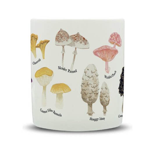 Mushroom Guide Watercolour Large Bone China Mug - 350ml